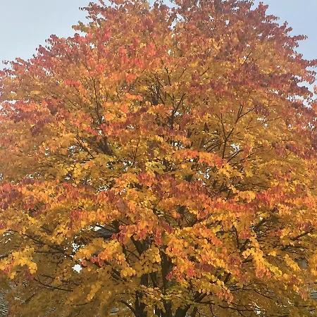 Raise View House Grasmere